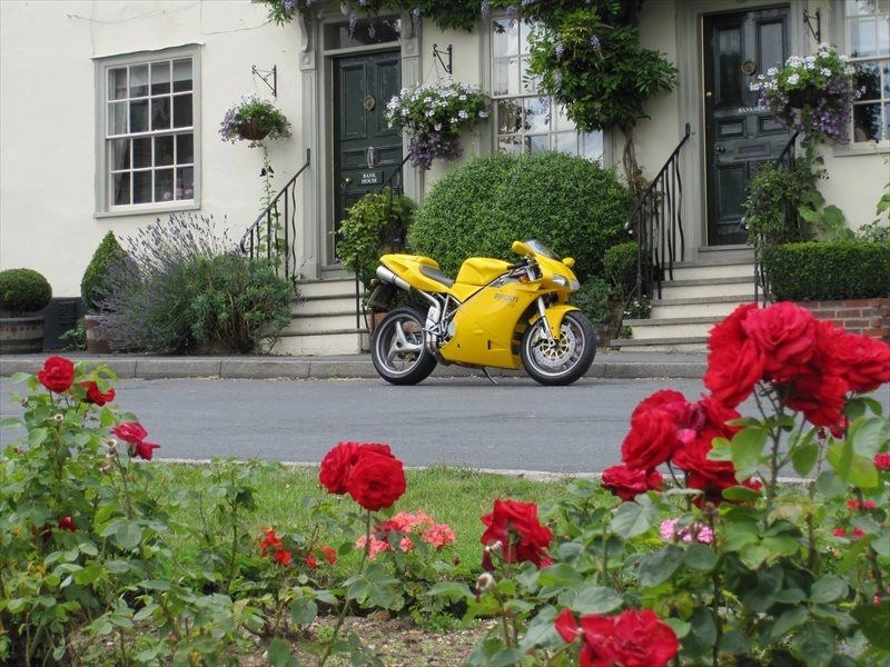 Ducati 748 tự tin khoe dáng trên đường phố - 3