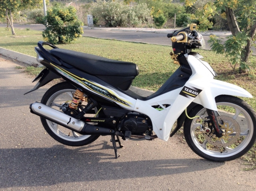 Sirius nha trang kiểng nhẹ trắng đen spark nano - 2