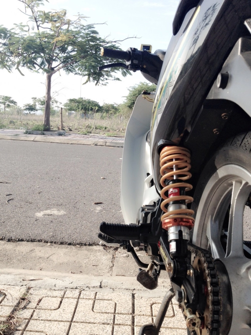 Sirius nha trang kiểng nhẹ trắng đen spark nano - 5