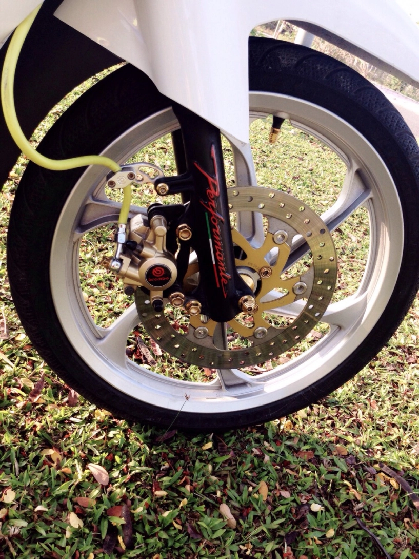 Sirius nha trang kiểng nhẹ trắng đen spark nano - 8