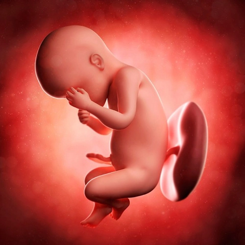 6 quan niệm làm đẹp không tưởng tượng nổi - 4