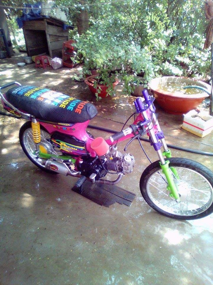 Dream cọp độ trái lớn - 1