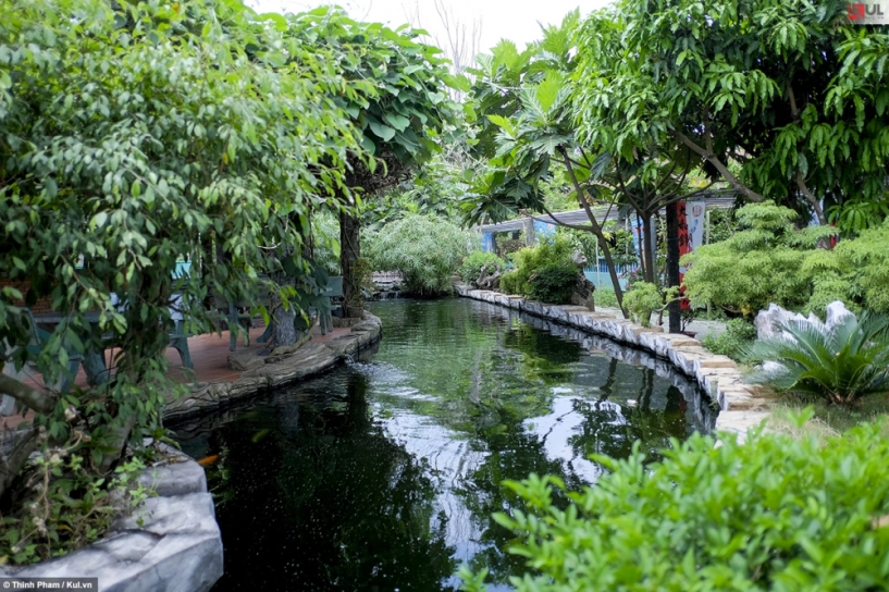 Không cần đi đâu xa bạn vẫn có thể ngắm cá koi nhật bản ngay tại sài gòn - 11