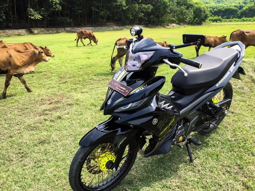 Exciter 135 độ khoe dáng giữa đàn bò quê nhà - 9