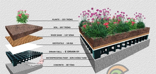 600000 đồng một m2 để phủ cây xanh cho mái nhà - 5