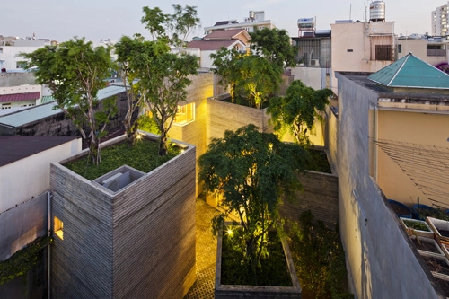 600000 đồng một m2 để phủ cây xanh cho mái nhà - 10