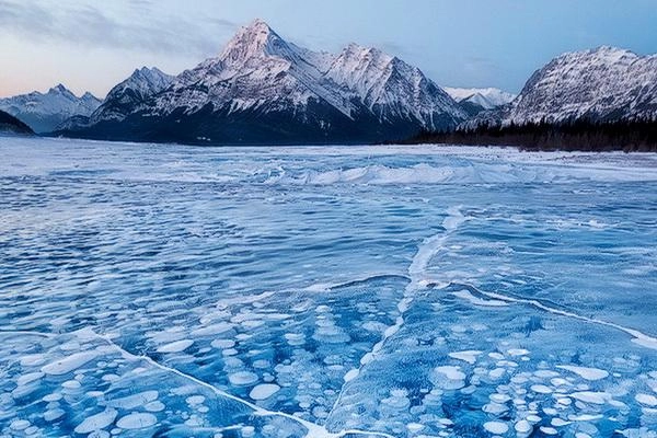 Abraham vương quốc bong bóng ở canada - 11