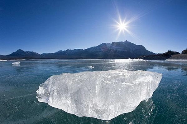 Abraham vương quốc bong bóng ở canada - 12