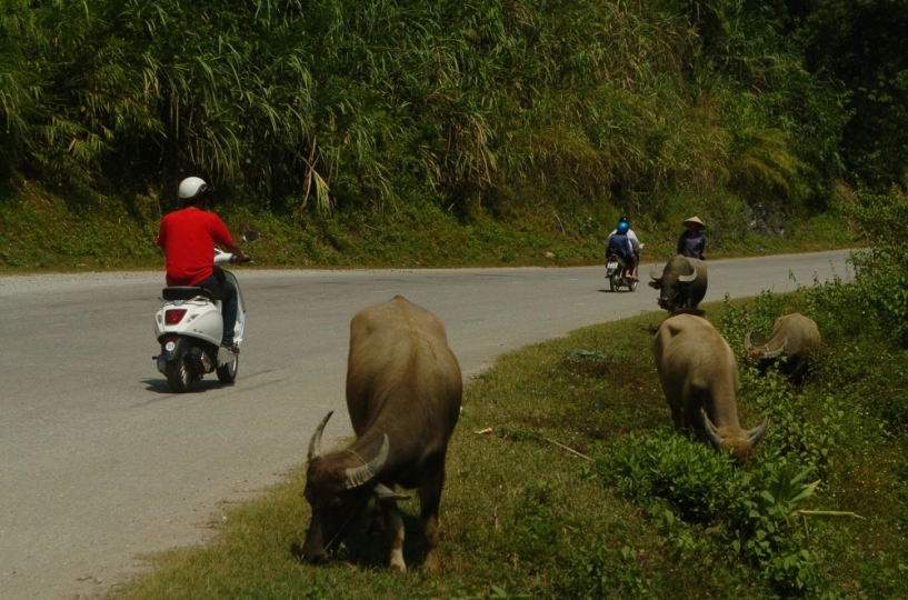 Ảnh đẹp cùng vespa trên đường phượt hà nội - thái nguyên - bắc kạn - cao bằng - 11