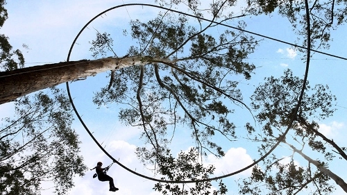 Australia mở đường dây đu zipline dài nhất thế giới - 2