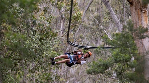 Australia mở đường dây đu zipline dài nhất thế giới - 3