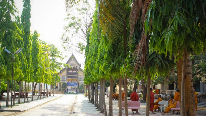 Battambang thành phố của tiếng chim - 4