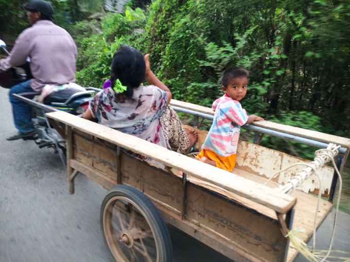 Battambang thành phố của tiếng chim - 9