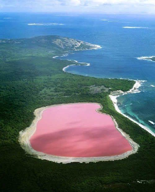 Bí ẩn hồ nước hồng ở australia - 2