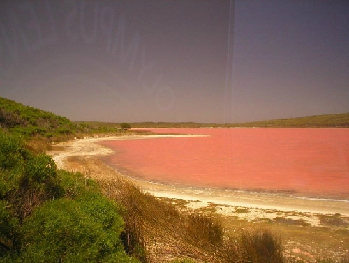 Bí ẩn hồ nước hồng ở australia - 3