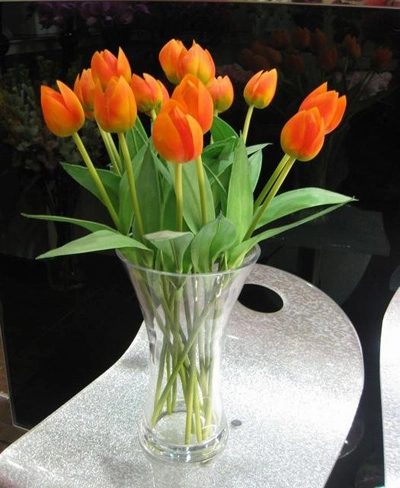 Bình hoa tulip đem mùa xuân vào nhà - 4