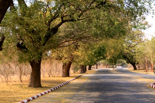 Bình nguyên lửa bagan - 3