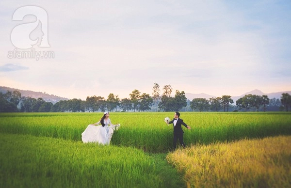 Bộ ảnh cưới an giang mùa lúa chín đẹp như tranh vẽ của cặp đôi miền tây - 9
