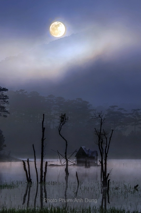 Bộ ảnh đà lạt đẹp mộng mơ trong sương mù - 4