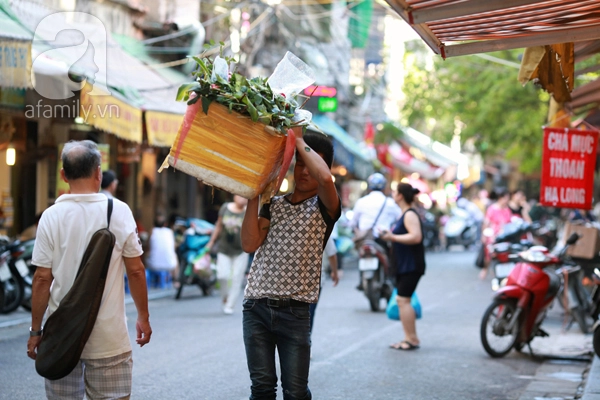 bộ ảnh ngỡ ngàng một hà nội trong trẻo và bình yên buổi sớm mùa hè - 20