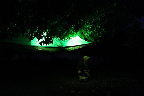Cắm trại với lều trên không - 7