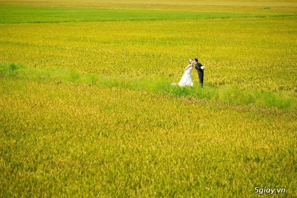 Cặp đôi người nhật chụp ảnh cưới đạm phong cách việt- quá ấn tượng 00 - 7