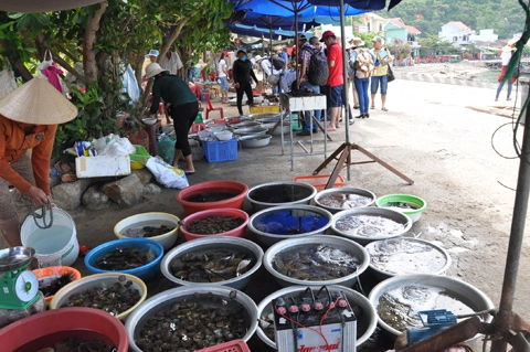 Chợ hải sản ăn liền nào rẻ và độc đáo nhất việt nam - 7