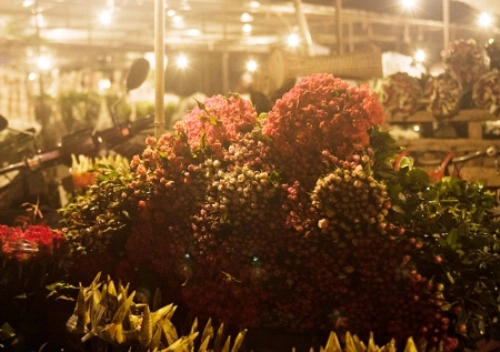 Chợ hoa đêm đất cảng - 3