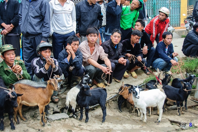 Chợ phiên cốc pài trong những mảng màu nên thơ - 5