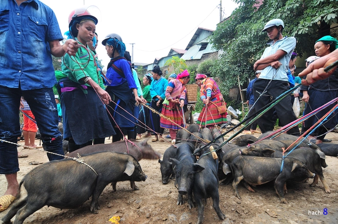 Chợ phiên cốc pài trong những mảng màu nên thơ - 6