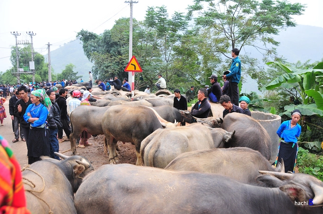 Chợ phiên cốc pài trong những mảng màu nên thơ - 7