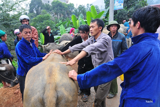 Chợ phiên cốc pài trong những mảng màu nên thơ - 8