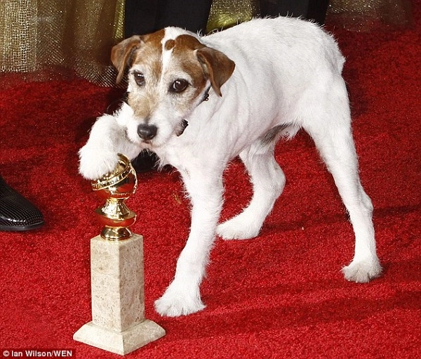 Chú chó uggie trong phim đoạt giải oscar the artist qua đời - 1