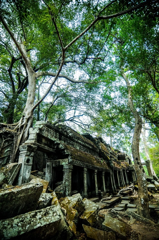 Chùm ảnh angkor wat kỳ bí trong ánh bình minh - 26