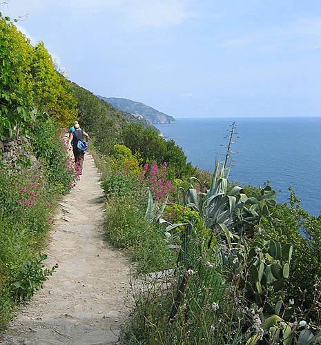 Cinque terre hòn ngọc bị lãng quên - 3