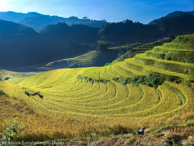 Có ai đến mù cang chải mùa này chưa - 3