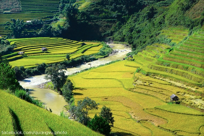 Có ai đến mù cang chải mùa này chưa - 4