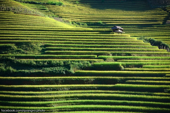 Có ai đến mù cang chải mùa này chưa - 7