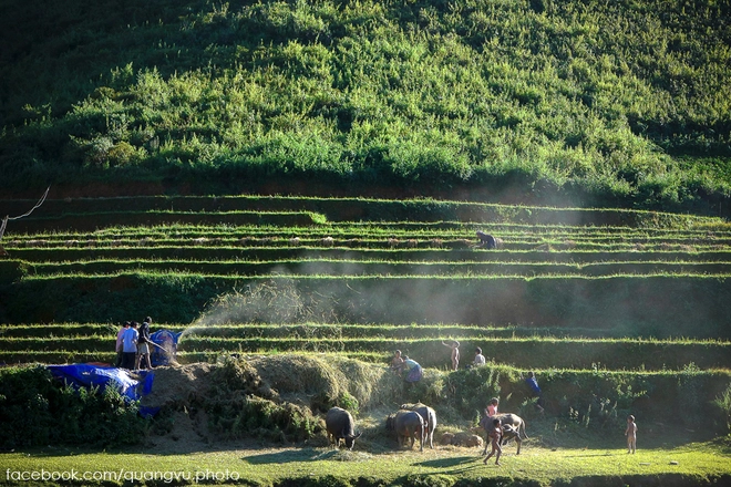 Có ai đến mù cang chải mùa này chưa - 9