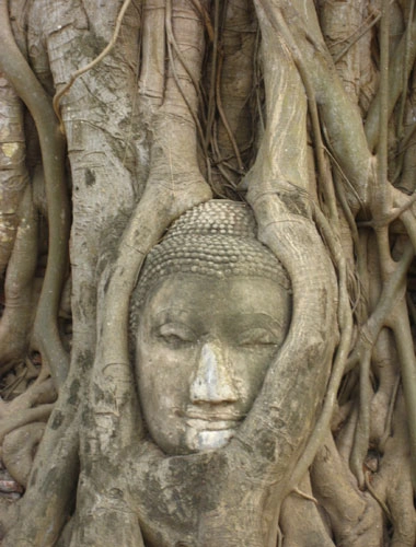 Cố đô ayutthaya cổ kính - 4