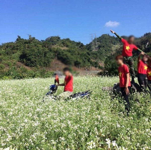 Dân mạng phẫn nộ vì phượt thủ chạy xe máy tàn phá cánh đồng hoa cải - 2