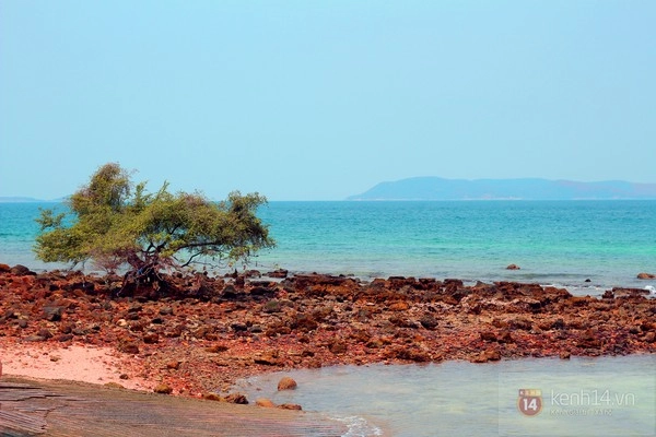 Đảo koh larn - vùng biển xinh đẹp ít người biết của thái lan - 9