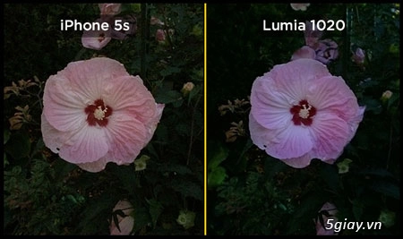 dế chụp ảnh chọn iphone 5s hay nokia lumia 1020 - 9