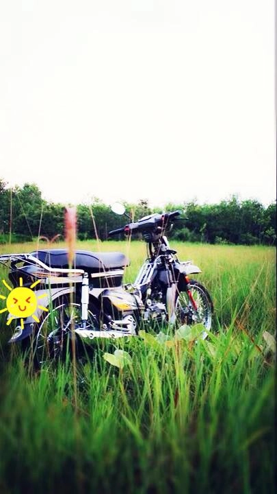 Dream kiểng nhẹ nhàng của biker dầu tiếng bình dương - 4