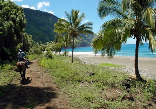 Du lịch hawaii có gì mới trong năm 2015 - 2