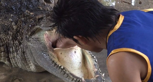 Đưa đầu vào miệng cá sấu để hút khách du lịch - 3