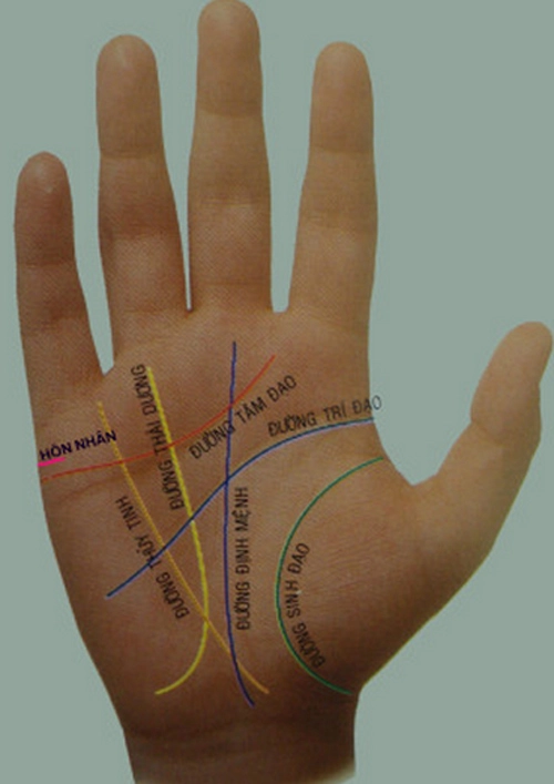 Đường chỉ tay tiết lộ chính xác tính cách và vận mệnh con người - 1