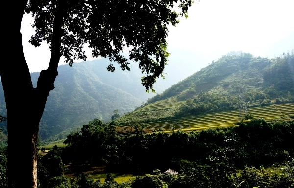 Đường lên cao nguyên đồng văn một cung đường đẹp ngỡ ngàng - 14