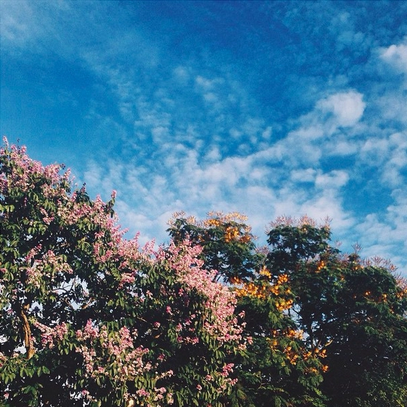 Hà nội mùa hè bình yên qua ống kính instagram - 13