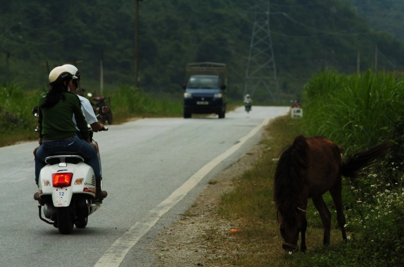 Hành trình cùng vespa từ cao bằng thăm thác bản giốc - 22